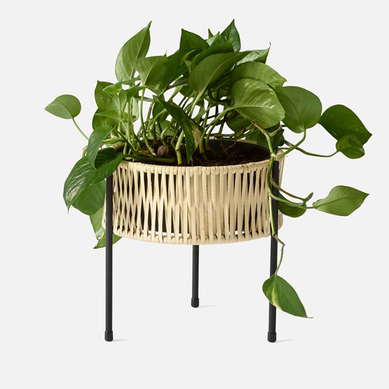 Umanoff Planter - Imagem 4